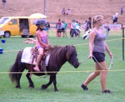 Always popular with the kids, pony rides.